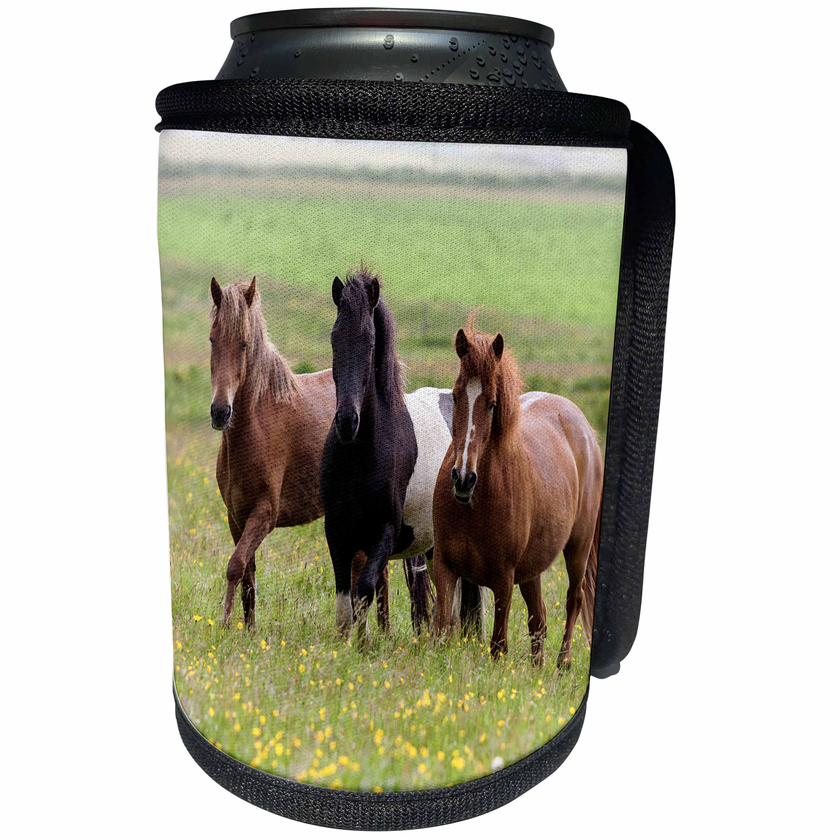 3dRose Danita Delimont - Horses - Europe, Iceland, Icelandic horses enjoy a wildflower strewn field. - Can Cooler Bottle Wrap (cc_277494)