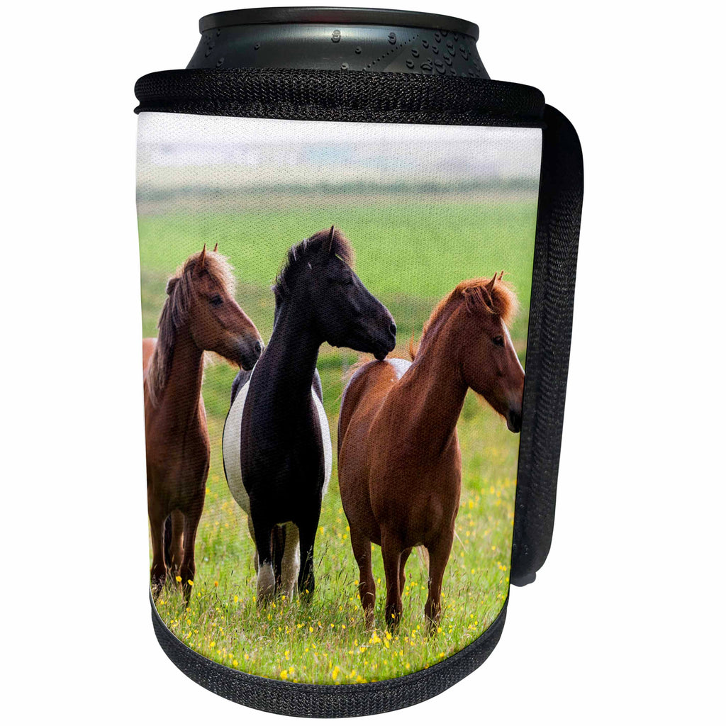 3dRose Danita Delimont - Horses - Europe, Iceland, Icelandic horses in a field of wildflowers. - Can Cooler Bottle Wrap (cc_277495)