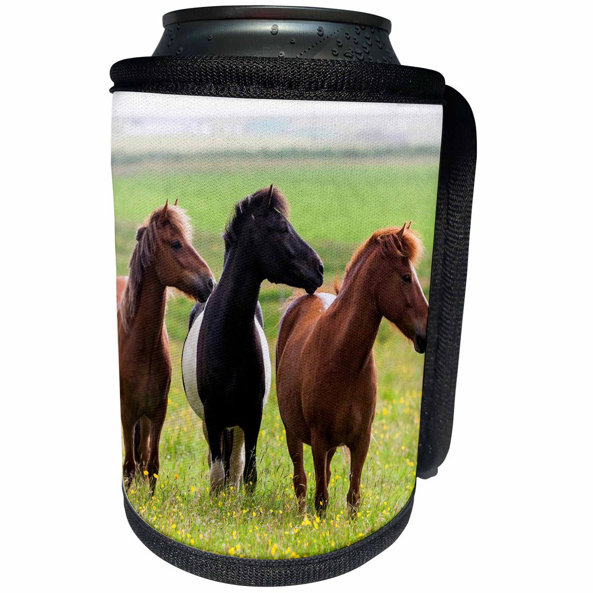3dRose Danita Delimont - Horses - Europe, Iceland, Icelandic horses in a field of wildflowers. - Can Cooler Bottle Wrap (cc_277495)
