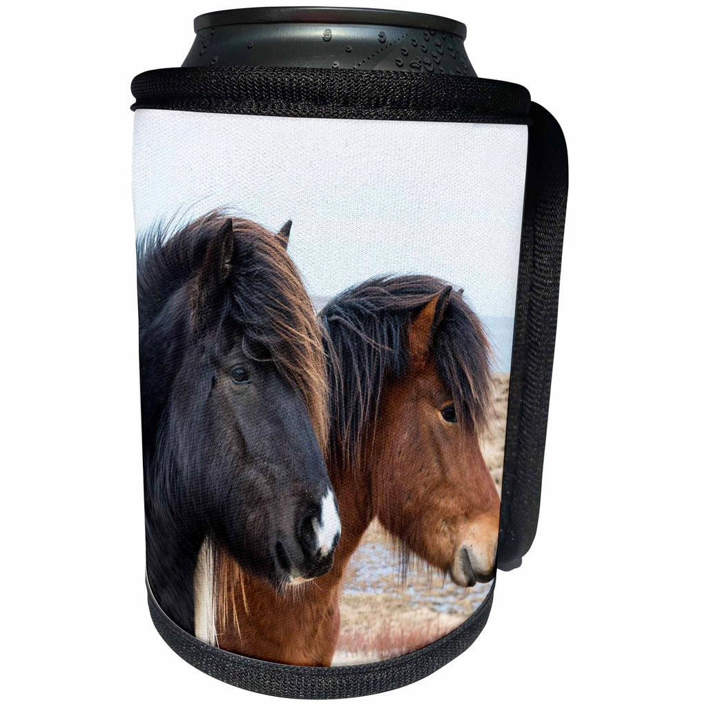 3dRose Danita Delimont - Horses - Europe, North Iceland, Akureyri. Two Icelandic horses. - Can Cooler Bottle Wrap (cc_277508)