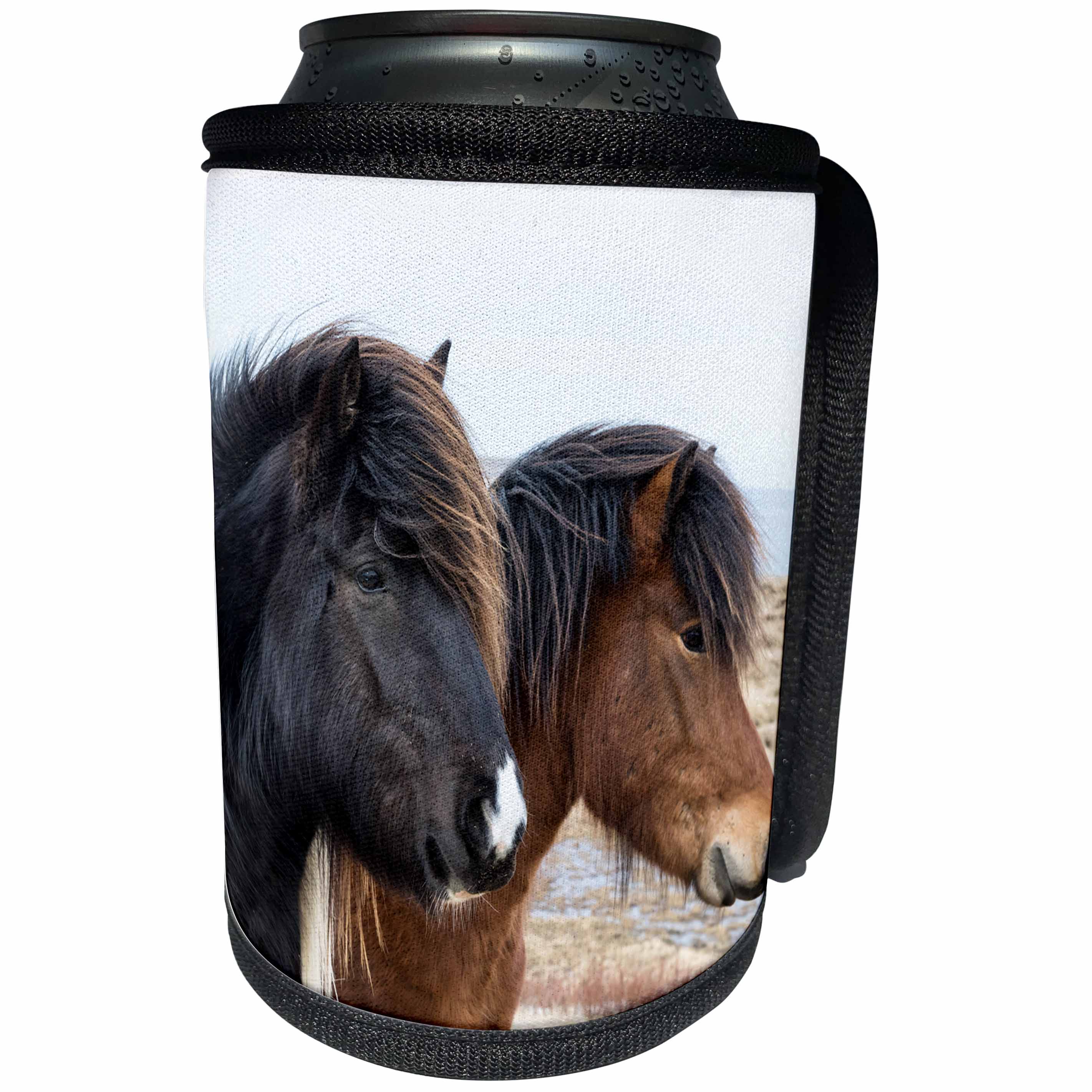 3dRose Danita Delimont - Horses - Europe, North Iceland, Akureyri. Two Icelandic horses. - Can Cooler Bottle Wrap (cc_277508)