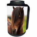 3dRose Danita Delimont - Horses - Iceland, Icelandic Horse - Can Cooler Bottle Wrap (cc_277519)