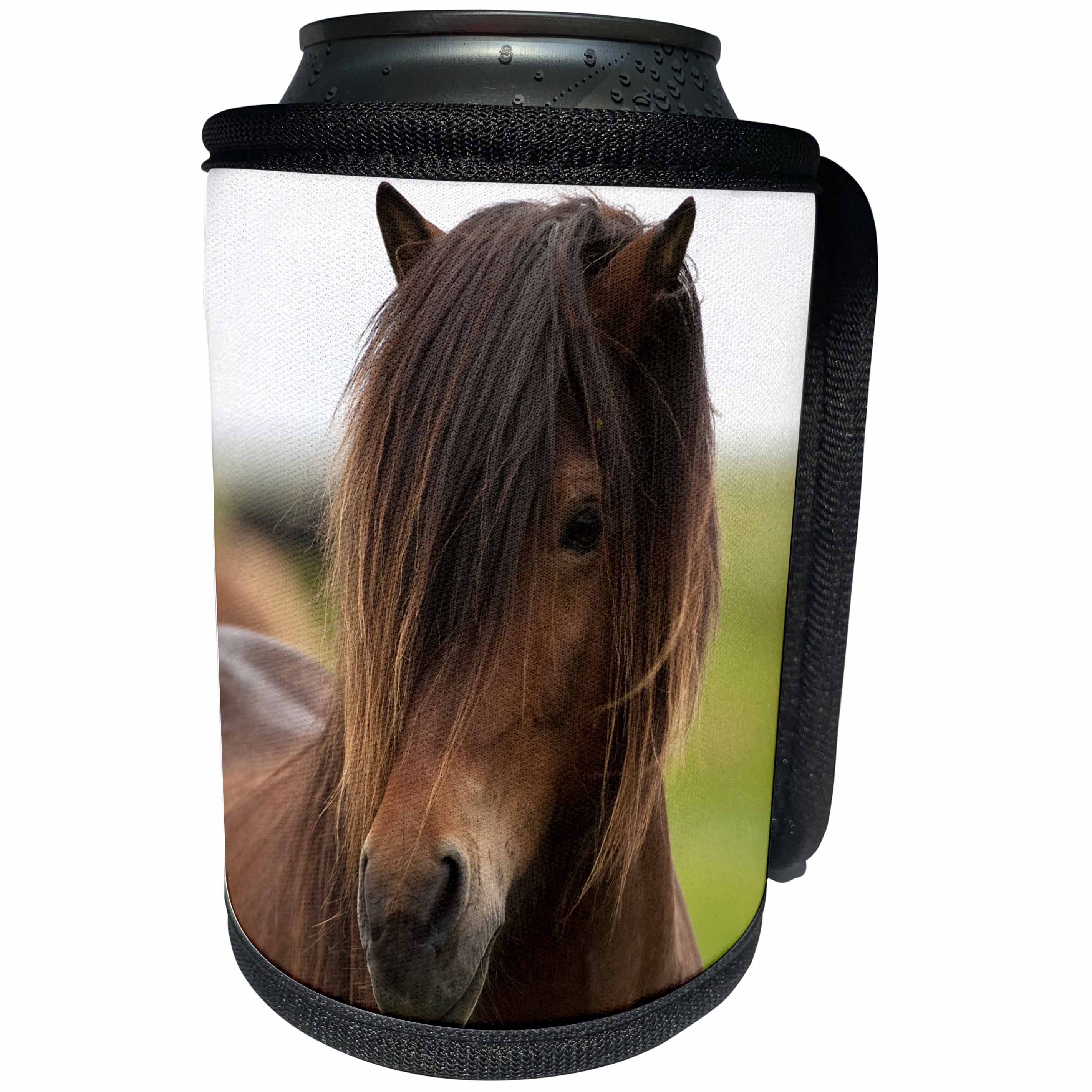 3dRose Danita Delimont - Horses - Iceland, Icelandic Horse - Can Cooler Bottle Wrap (cc_277519)