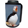 3dRose Danita Delimont - Birds - Iceland, Breidavik, Puffin Calling Out - Can Cooler Bottle Wrap (cc_277520)