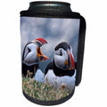3dRose Danita Delimont - Birds - Iceland, Breidavik, Puffins - Can Cooler Bottle Wrap (cc_277521)