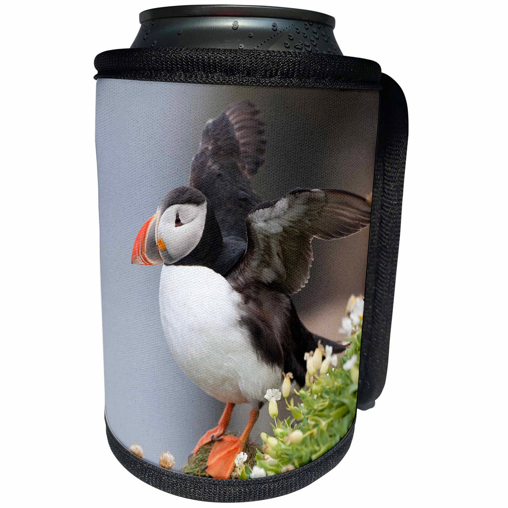 3dRose Danita Delimont - Bird - Iceland, Breidavik. Puffin amid flowers on a cliff - Can Cooler Bottle Wrap (cc_277523)