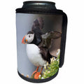 3dRose Danita Delimont - Bird - Iceland, Breidavik. Puffin amid flowers on a cliff - Can Cooler Bottle Wrap (cc_277523)