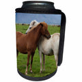 3dRose Danita Delimont - Horses - Iceland, Wild Icelandic Horses. - Can Cooler Bottle Wrap (cc_277524)