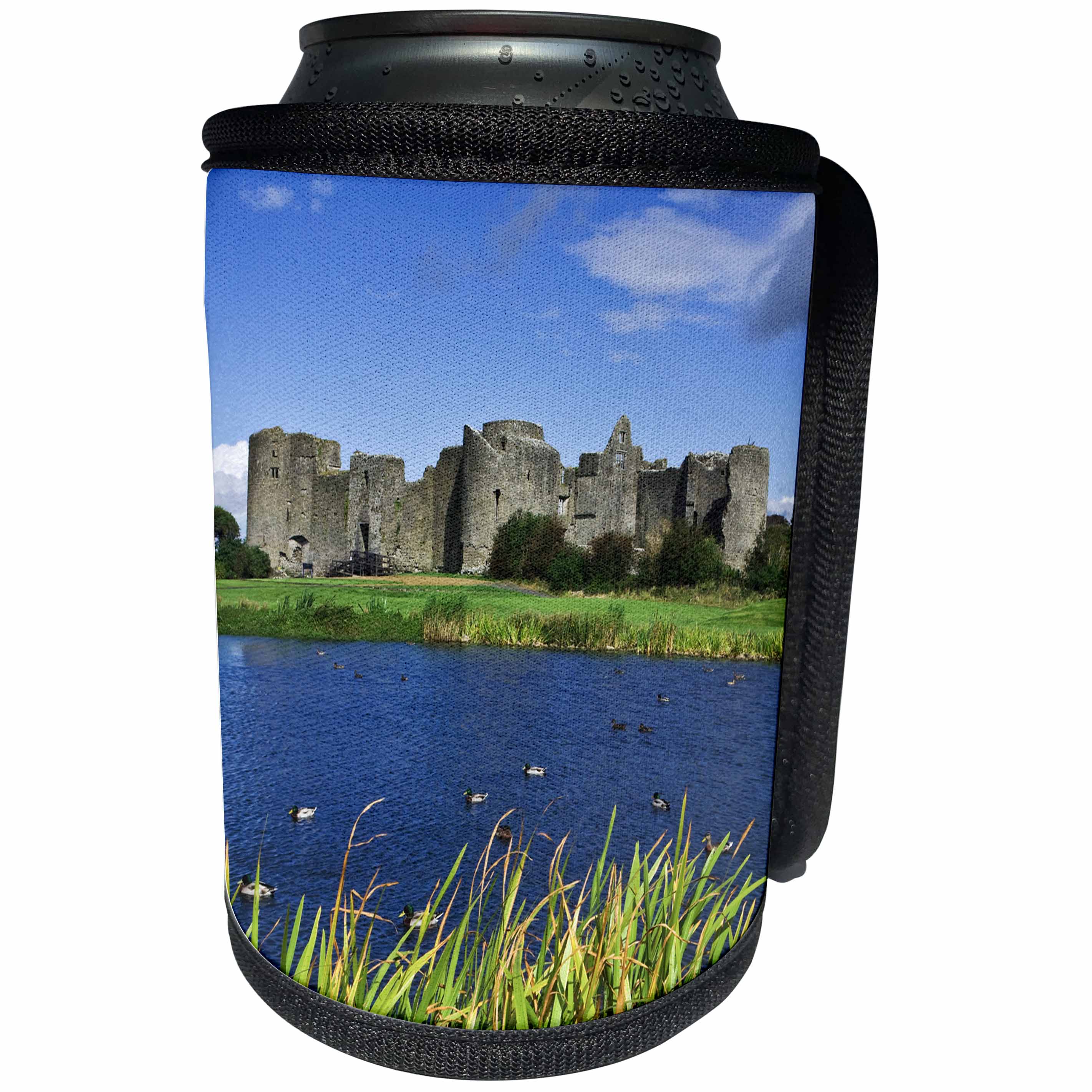3dRose Danita Delimont - Castles - Ireland. Landscape with Roscommon Castle. - Can Cooler Bottle Wrap (cc_277531)