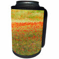 3dRose Danita Delimont - Flowers - Painterly effect on a photograph of poppies in an Italian meadow. - Can Cooler Bottle Wrap (cc_277572)