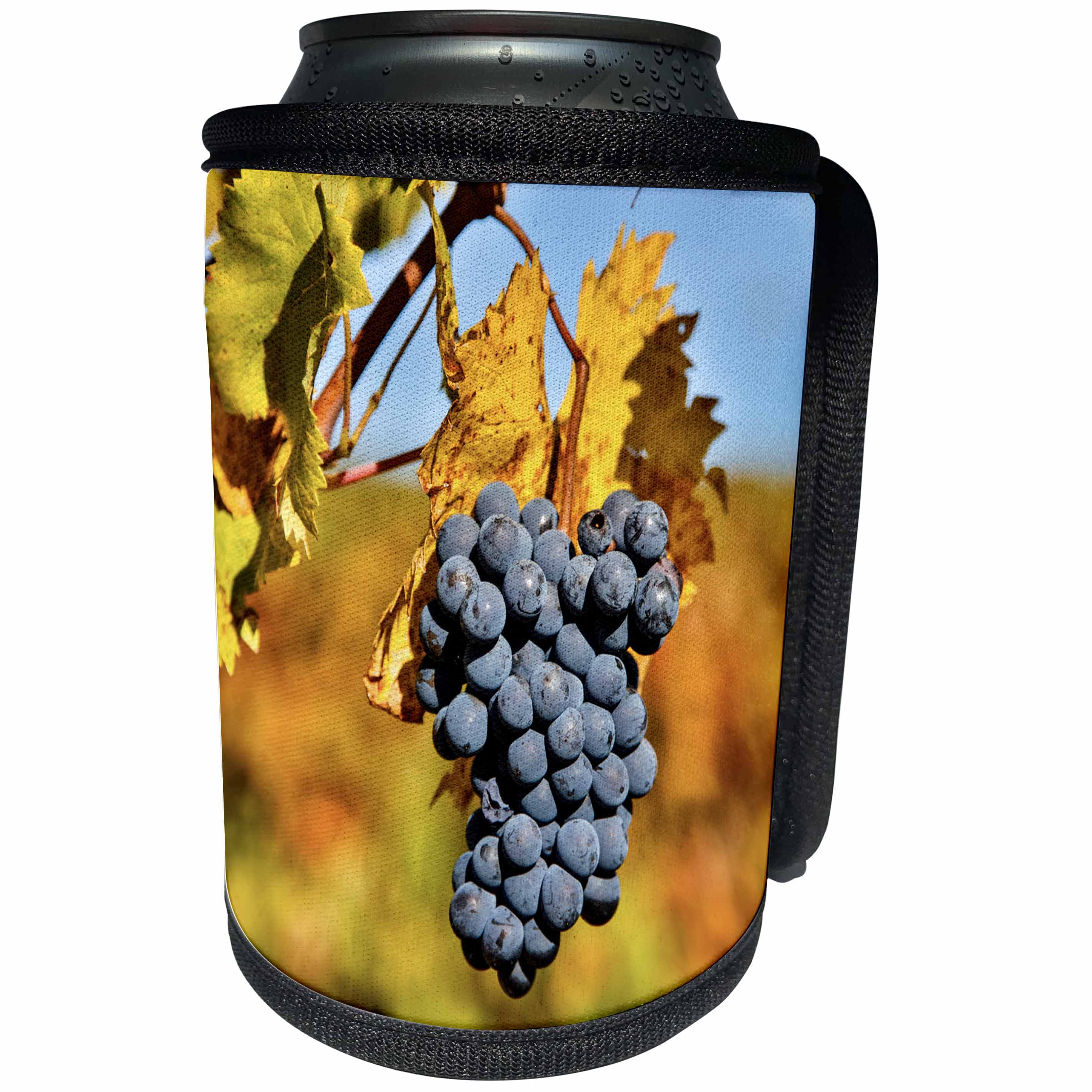 3dRose Danita Delimont - Vineyards - Italy, Tuscany, Grapes Past Harvest - Can Cooler Bottle Wrap (cc_277590)