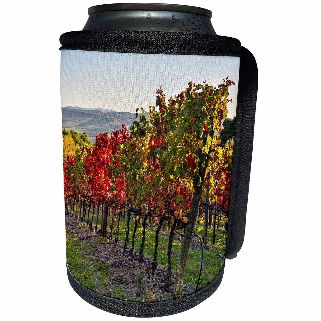 3dRose Danita Delimont - Vineyards - Italy, Montalcino, Vineyard in autumn. - Can Cooler Bottle Wrap (cc_277606)