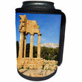 3dRose Danita Delimont - Ruins - Italy, Sicily, city of Agrigento temple ruins of the old city. - Can Cooler Bottle Wrap (cc_277618)