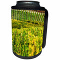 3dRose Danita Delimont - Vineyards - Italy, Tuscany, Chianti, Rows of wine grape vines in a vineyard. - Can Cooler Bottle Wrap (cc_277665)