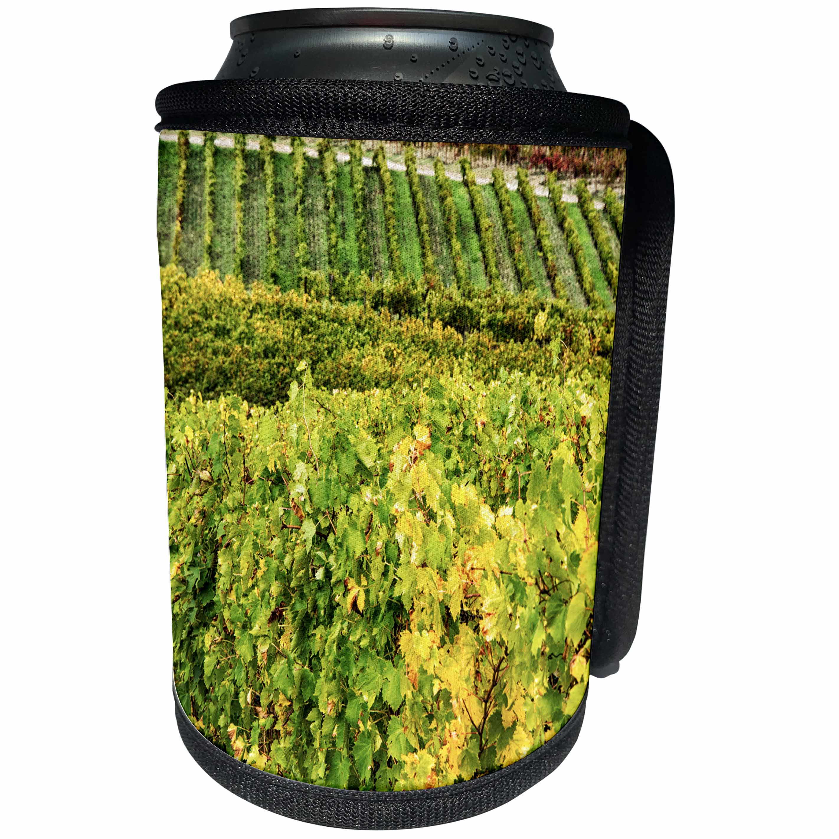 3dRose Danita Delimont - Vineyards - Italy, Tuscany, Chianti, Rows of wine grape vines in a vineyard. - Can Cooler Bottle Wrap (cc_277665)