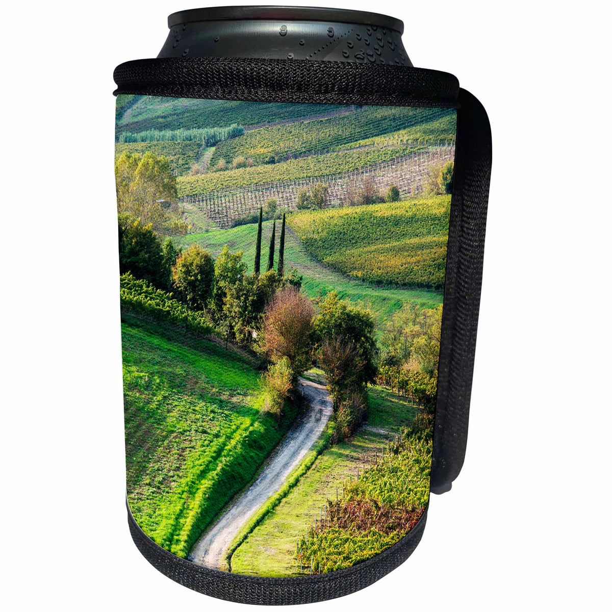 3dRose Danita Delimont - Italy - Italy, Tuscany, Chianti, Autumn, Road running through vineyards - Can Cooler Bottle Wrap (cc_277668)
