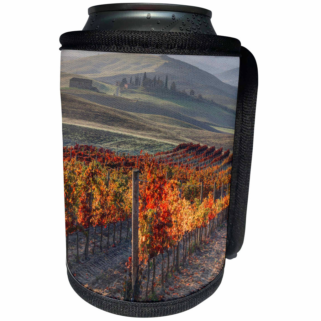 3dRose Danita Delimont - Vineyards - Italy, San Quirico, Autumn Vineyards near San Quirico - Can Cooler Bottle Wrap (cc_277669)