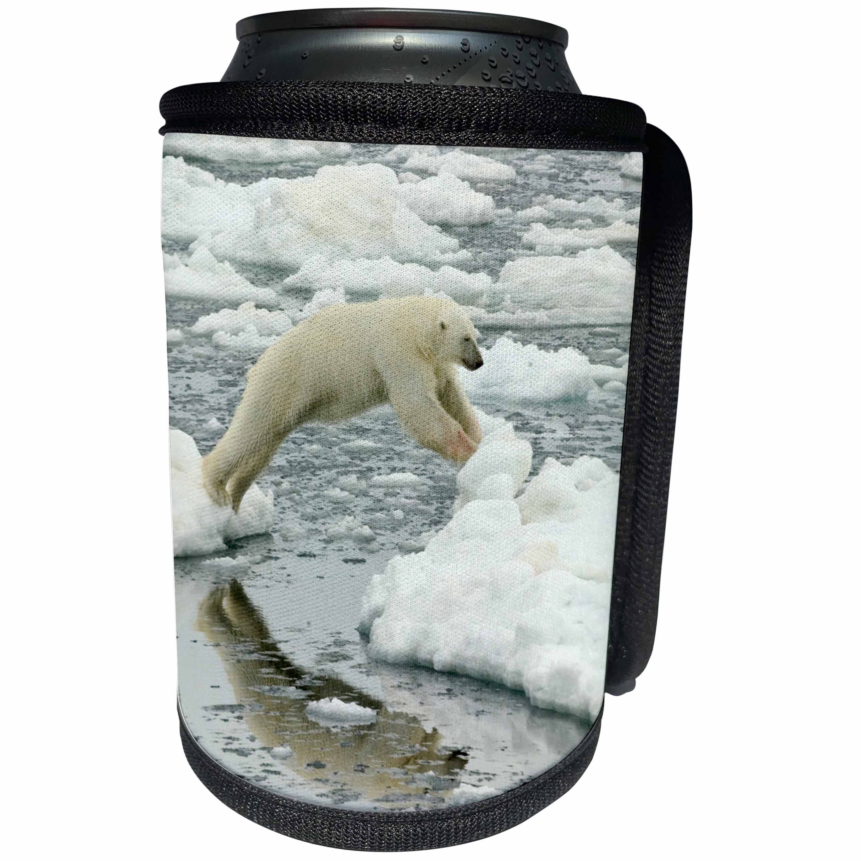 3dRose Danita Delimont - Bears - Norway, Svalbard, Polar Bear Jumping between the Pack Ice - Can Cooler Bottle Wrap (cc_277793)