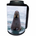 3dRose Danita Delimont - Walruses - Arctic, Norway, Svalbard. Walrus swimming - Can Cooler Bottle Wrap (cc_277794)