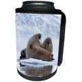 3dRose Danita Delimont - Walruses - Arctic, Norway, Svalbard. Walruses resting on the pack ice - Can Cooler Bottle Wrap (cc_277795)