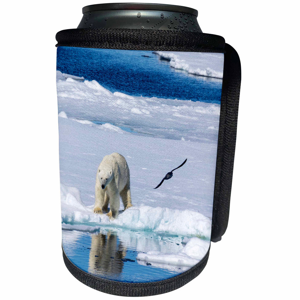 3dRose Danita Delimont - Bears - Norway, Svalbard. Polar Bear on the pack ice in the Arctic - Can Cooler Bottle Wrap (cc_277796)