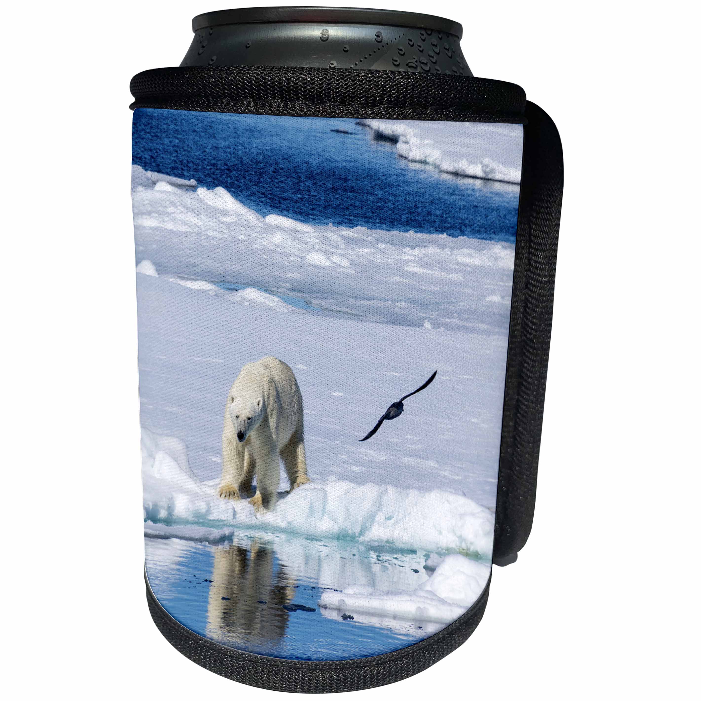 3dRose Danita Delimont - Bears - Norway, Svalbard. Polar Bear on the pack ice in the Arctic - Can Cooler Bottle Wrap (cc_277796)