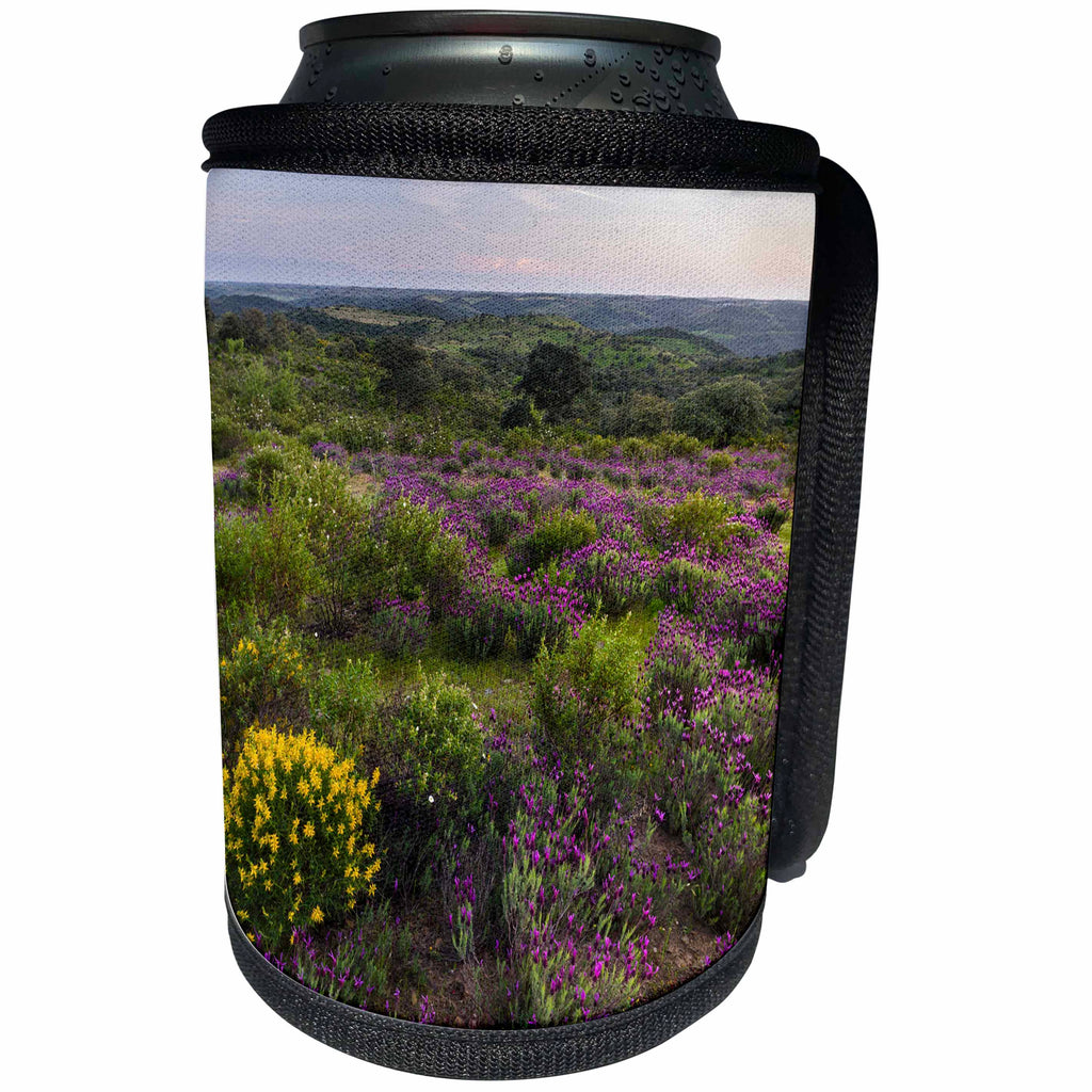 3dRose Danita Delimont - Flowers - Landscape with lavender, Guadiana Valley NP, Alentejo, Portugal - Can Cooler Bottle Wrap (cc_277832)