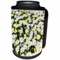 3dRose Danita Delimont - Flowers - Wild chamomile meadow near Marvao. Portugal - Can Cooler Bottle Wrap (cc_277836)