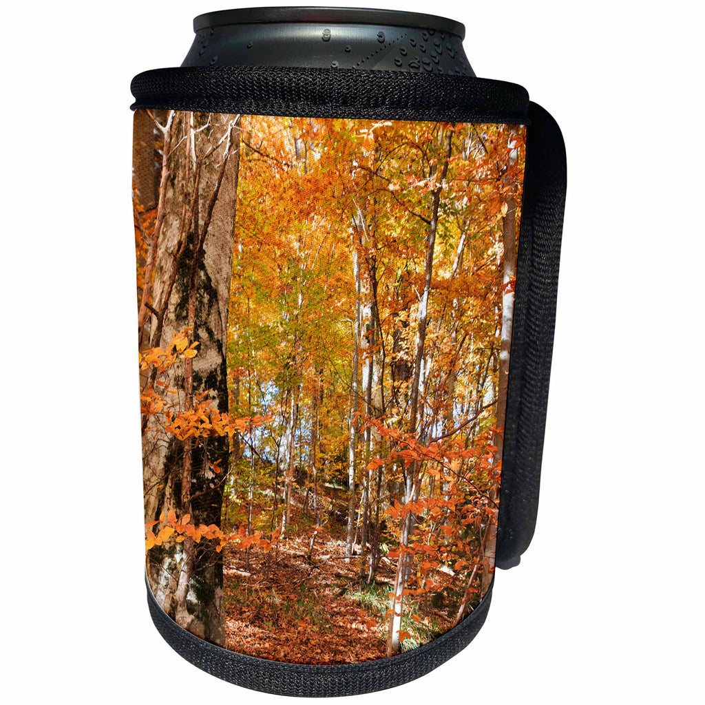 3dRose Danita Delimont - Forests - Romania, Transylvania, Brasov. Carpathian Mountains, autumn colors. - Can Cooler Bottle Wrap (cc_277859)