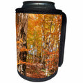 3dRose Danita Delimont - Forests - Romania, Transylvania, Brasov. Carpathian Mountains, autumn colors. - Can Cooler Bottle Wrap (cc_277859)