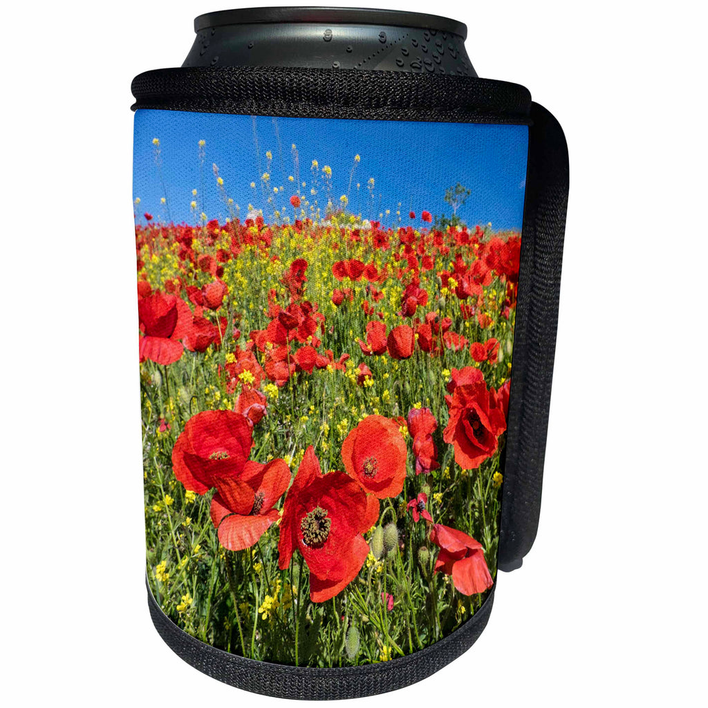 3dRose Danita Delimont - Flowers - Spain, Andalusia. A field of bright and cheerful red poppy wildflowers - Can Cooler Bottle Wrap (cc_277891)