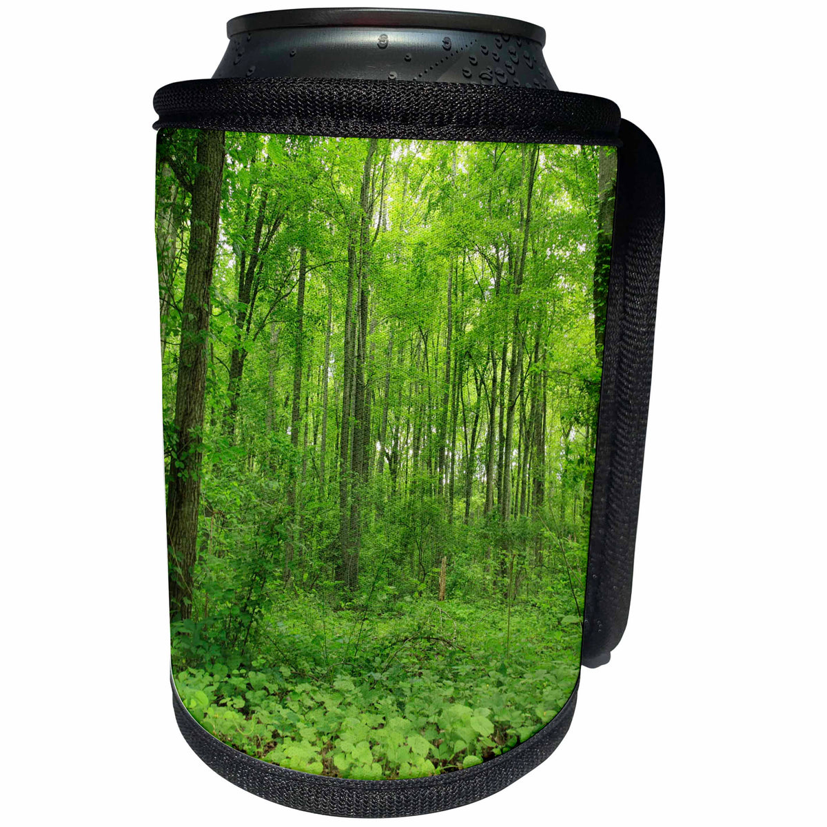 3dRose Bob Molchan Photography Landscapes - Trees Leaves Green Forest - Can Cooler Bottle Wrap (cc_27790)
