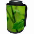 3dRose Bob Molchan Photography Nature - Leaf Green Closeup - Can Cooler Bottle Wrap (cc_27791)