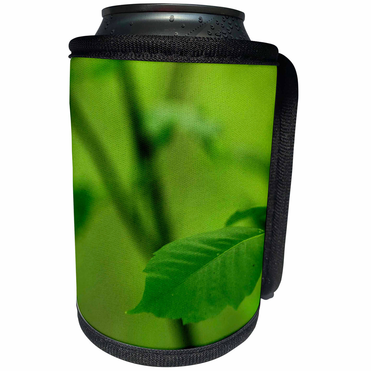 3dRose Bob Molchan Photography Nature - Leaf Green Closeup - Can Cooler Bottle Wrap (cc_27791)