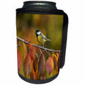 3dRose Danita Delimont - Songbirds - Great Tit surrounded by autumn color, Oberaegeri, Switzerland - Can Cooler Bottle Wrap (cc_277918)