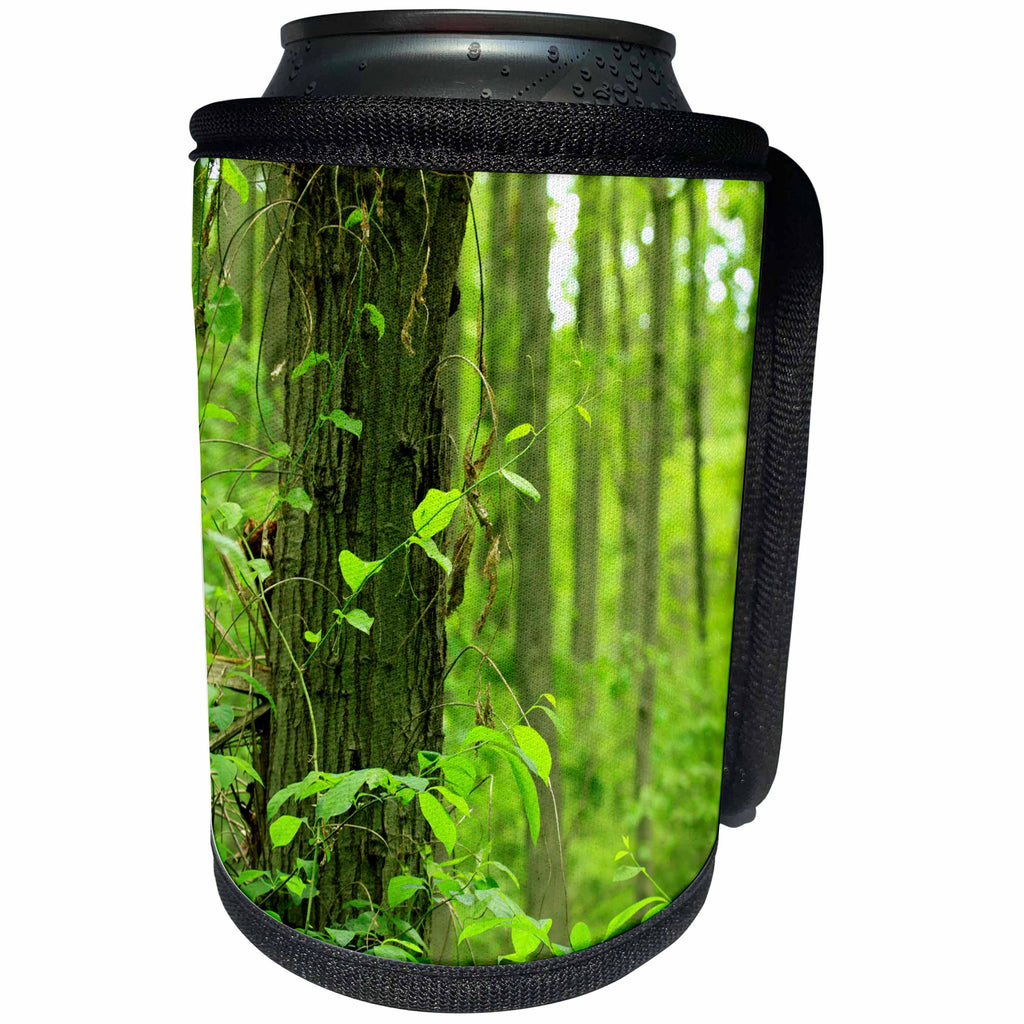 3dRose Bob Molchan Photography Landscapes - Trees Green Forest Leaves - Can Cooler Bottle Wrap (cc_27792)