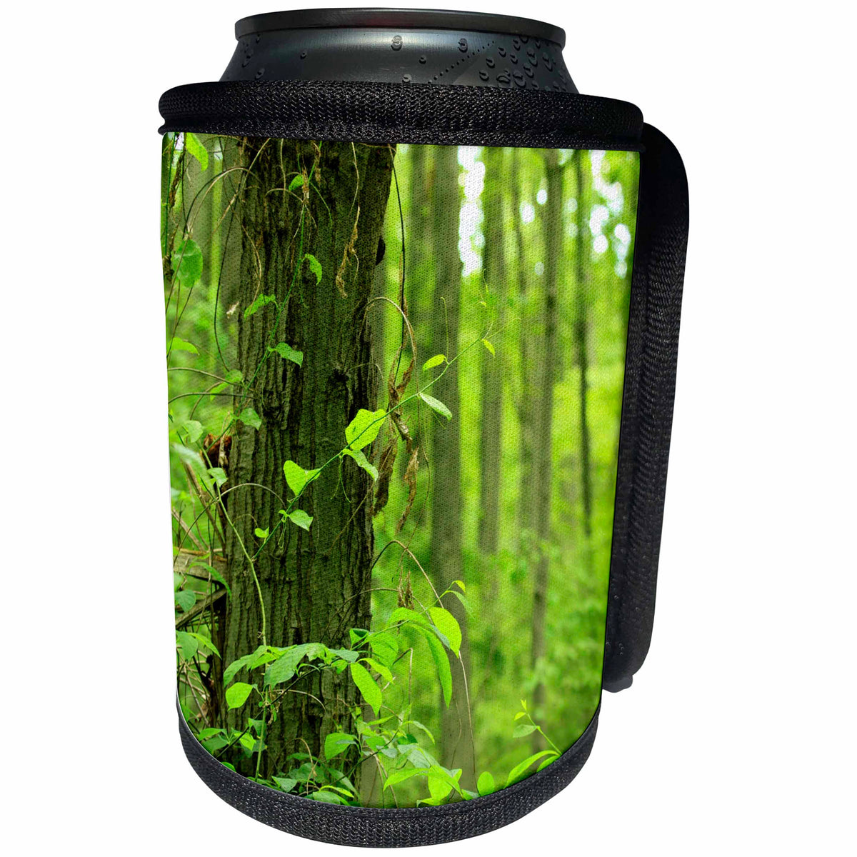 3dRose Bob Molchan Photography Landscapes - Trees Green Forest Leaves - Can Cooler Bottle Wrap (cc_27792)