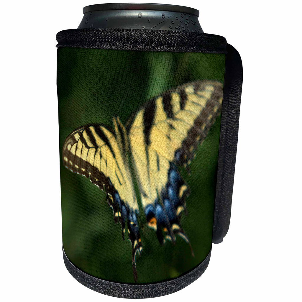 3dRose Bob Molchan Photography Nature - Butterfly Yellow Blue Black Flying - Can Cooler Bottle Wrap (cc_27794)