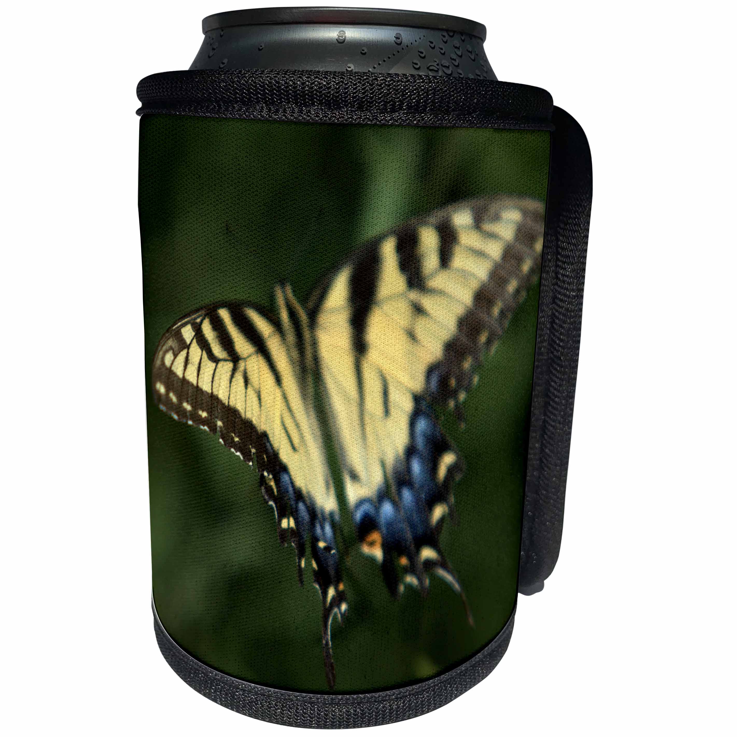 3dRose Bob Molchan Photography Nature - Butterfly Yellow Blue Black Flying - Can Cooler Bottle Wrap (cc_27794)
