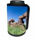 3dRose Danita Delimont - Ruins - Ruins of the episcopal church. Village Igaliku, Gardar, Greenland. - Can Cooler Bottle Wrap (cc_277947)
