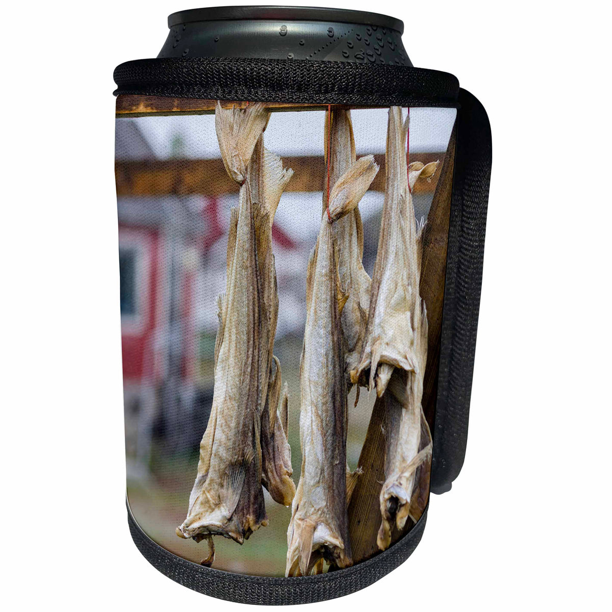 3dRose Danita Delimont - Food - Fish hanging to dry, Village Lichtenau, Greenland. - Can Cooler Bottle Wrap (cc_277948)