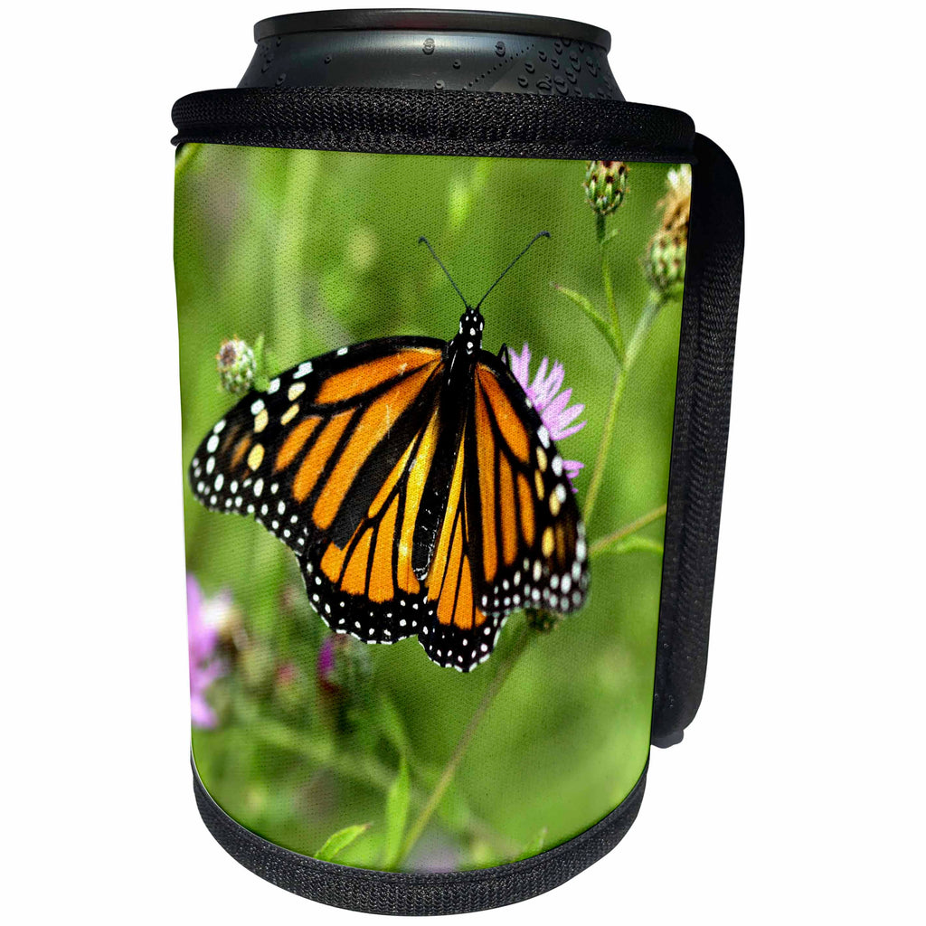 3dRose Bob Molchan Photography Nature - Butterfly Monarch Flowers Orange Purple Green - Can Cooler Bottle Wrap (cc_27796)