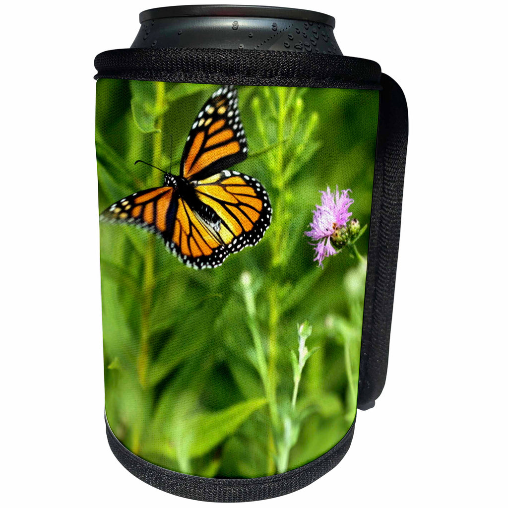 3dRose Bob Molchan Photography Nature - Butterfly Monarch Flowers Orange Purple Green Flight - Can Cooler Bottle Wrap (cc_27797)