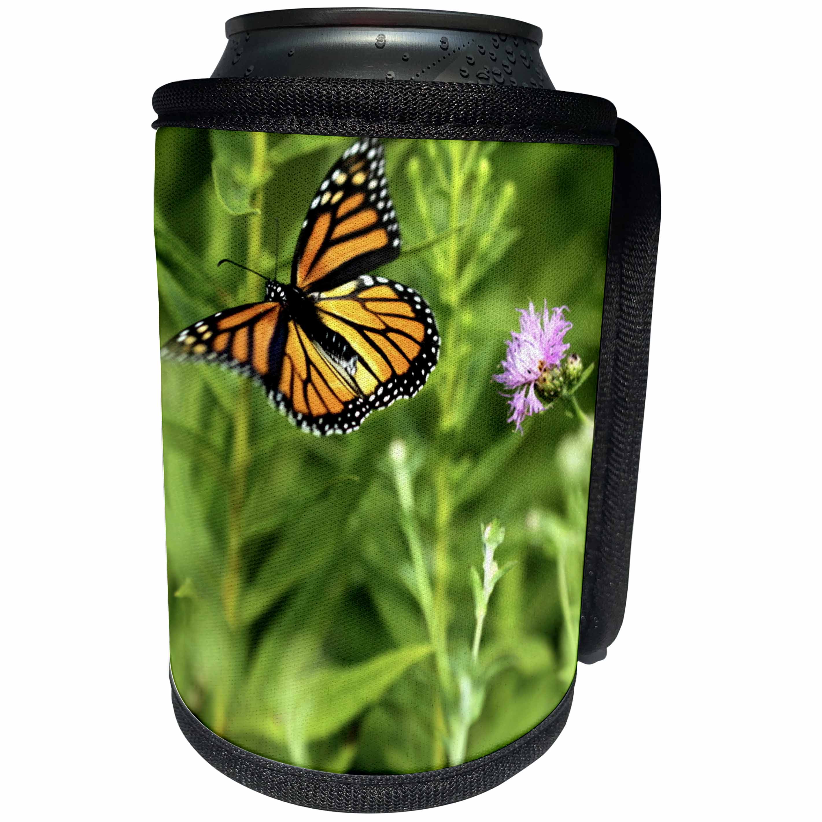 3dRose Bob Molchan Photography Nature - Butterfly Monarch Flowers Orange Purple Green Flight - Can Cooler Bottle Wrap (cc_27797)