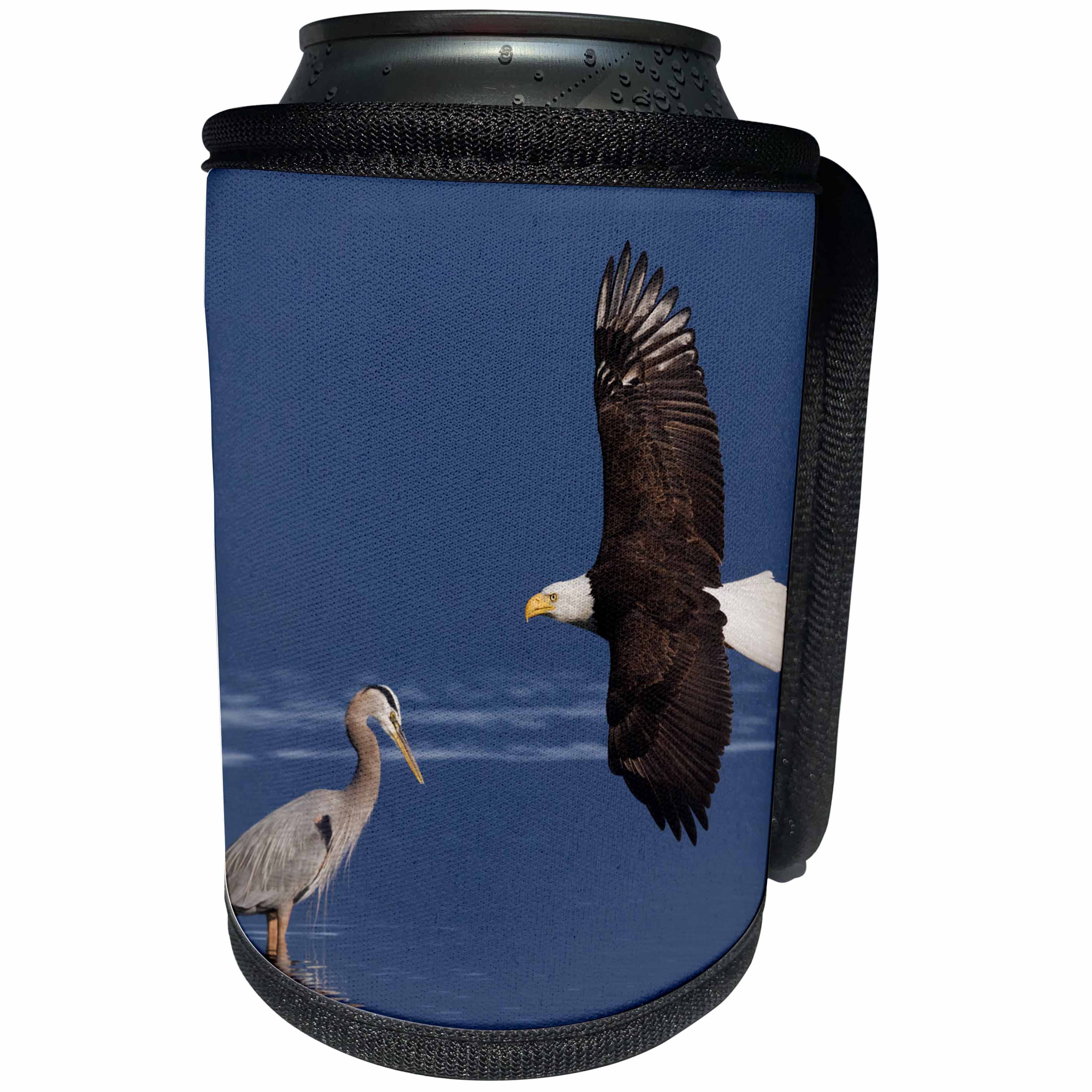 3dRose Danita Delimont - Birds - Bald Eagle flying past Great Blue Heron - Can Cooler Bottle Wrap (cc_278046)
