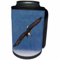 3dRose Danita Delimont - Birds of prey - Bald Eagle diving - Can Cooler Bottle Wrap (cc_278047)