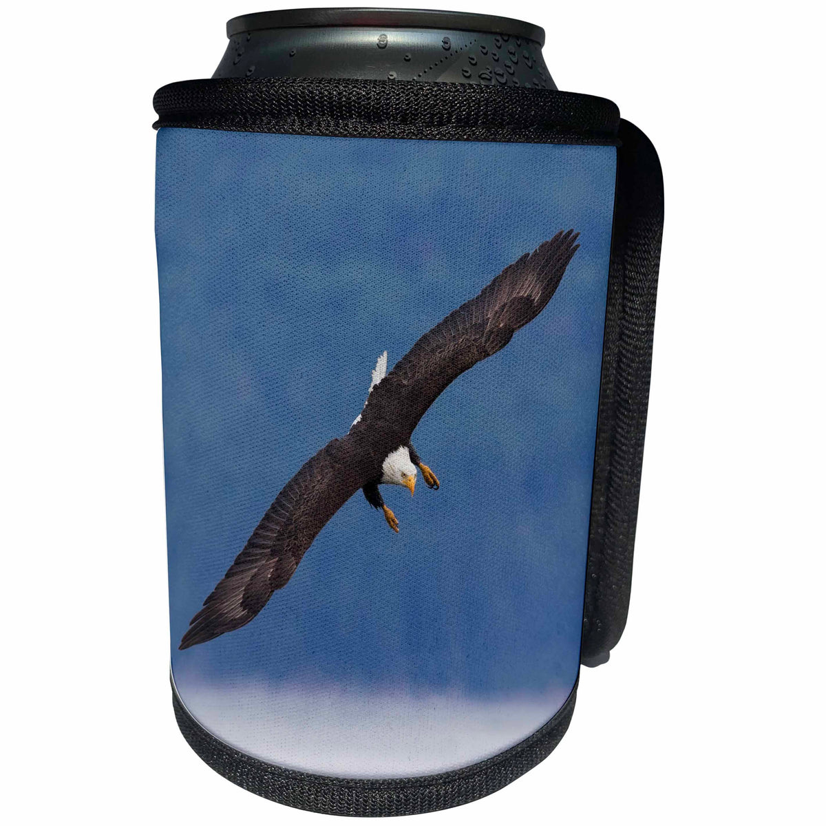 3dRose Danita Delimont - Birds of prey - Bald Eagle diving - Can Cooler Bottle Wrap (cc_278047)