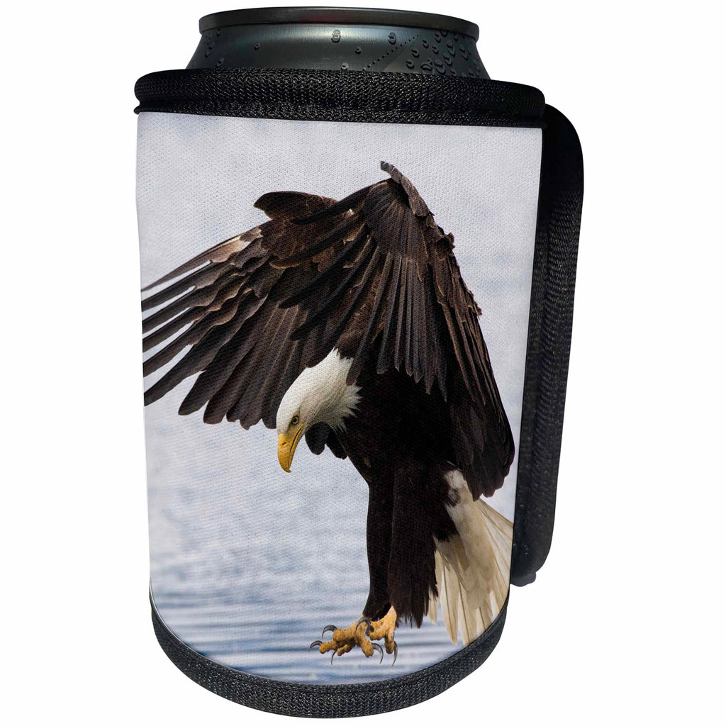 3dRose Danita Delimont - Birds of prey - Bald Eagle Alighting - Can Cooler Bottle Wrap (cc_278048)
