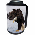 3dRose Danita Delimont - Birds of prey - Bald Eagle Alighting - Can Cooler Bottle Wrap (cc_278048)