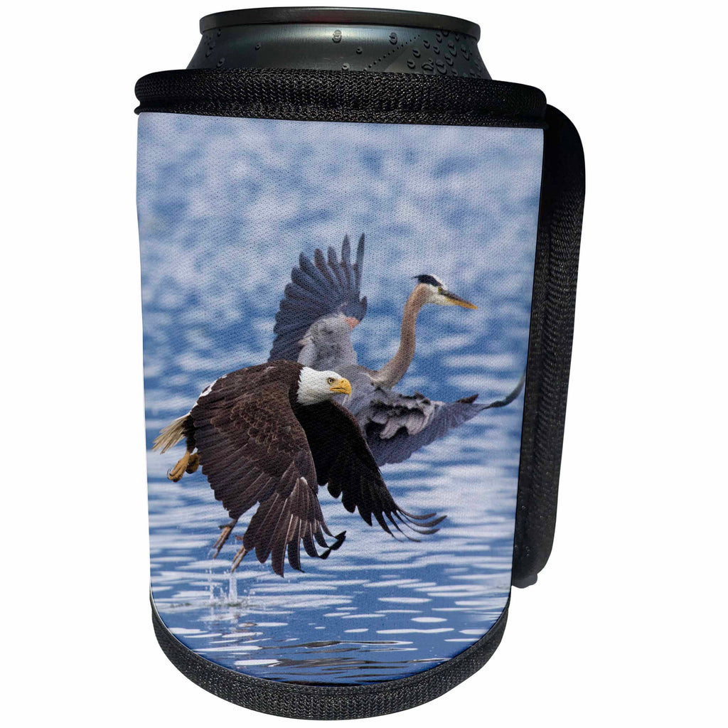 3dRose Danita Delimont - Birds - Bald Eagle and Great Blue Heron - Can Cooler Bottle Wrap (cc_278049)